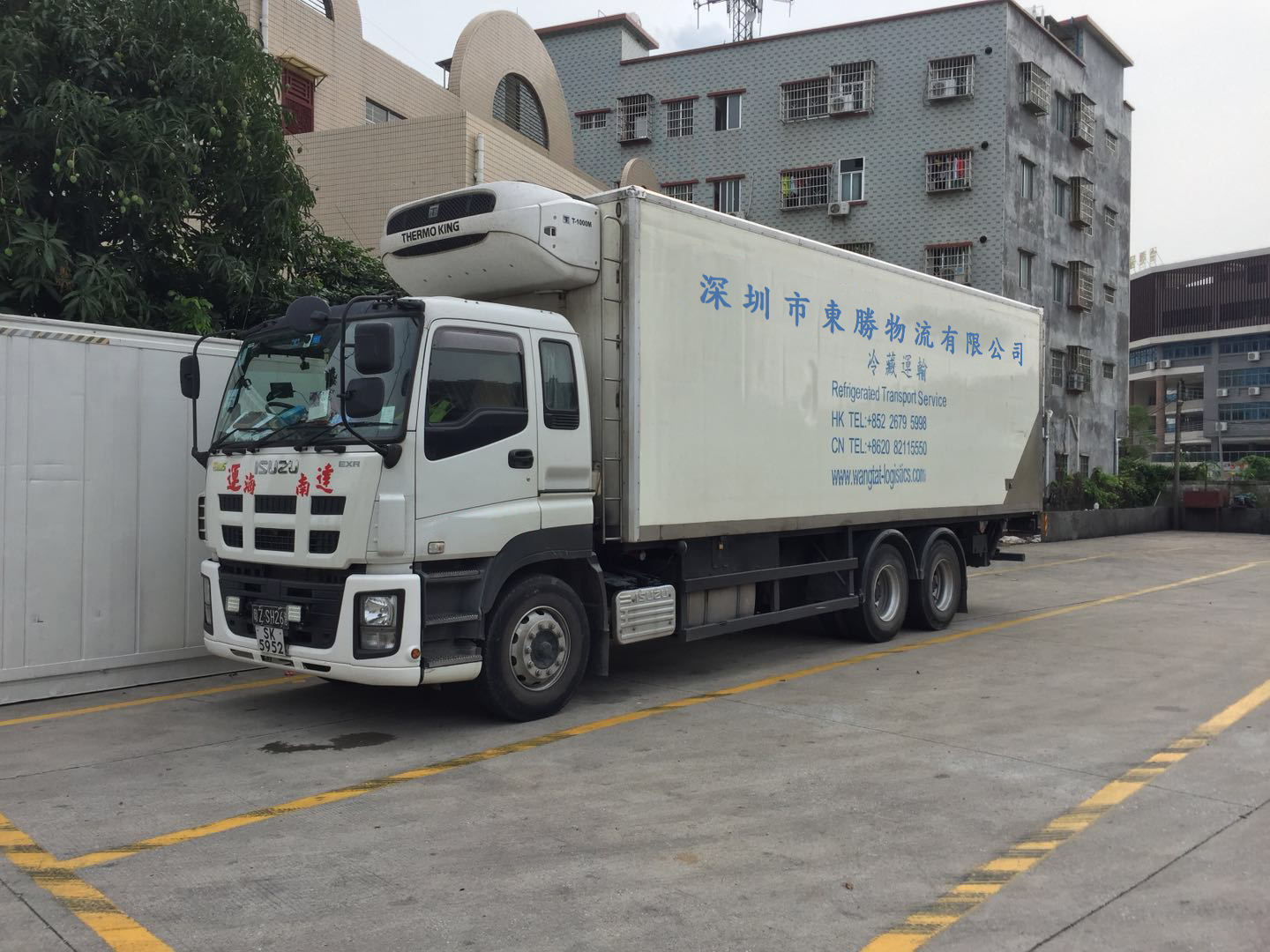中港冷藏車,香港冷凍柜,香港冷鏈物流專線運(yùn)輸案例圖